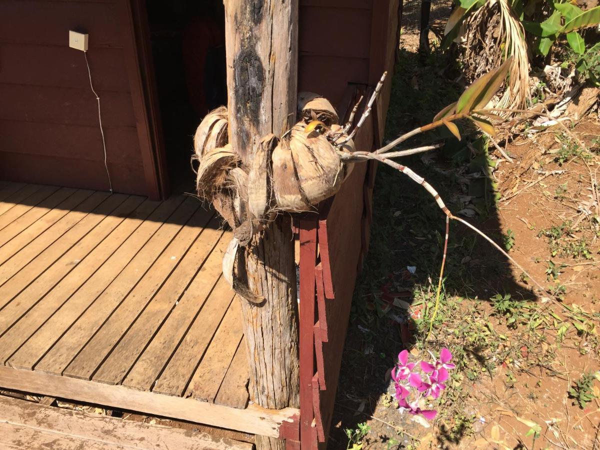Tree Lodge Sen Monorom Zewnętrze zdjęcie